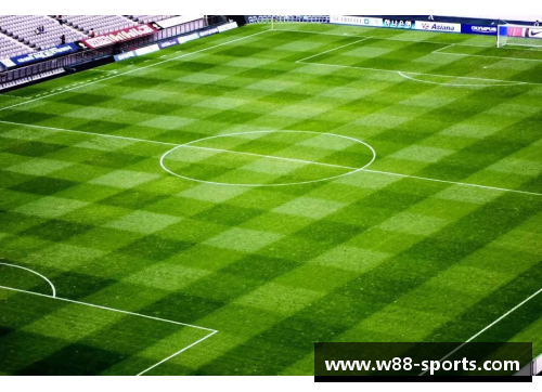 足球场必备：全新设计足球球网