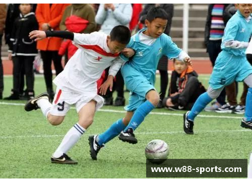 深度探究马拉球员的技艺与文化：一场全面解析